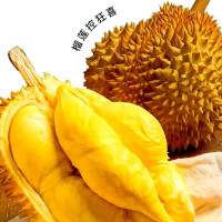 【电商一件代发】泰国金枕榴莲新鲜整颗带壳当季水果批发