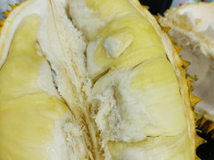 泰国金枕榴莲
