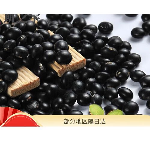 黑豆 熟黑豆低温烘焙 黄茬黑豆 批发零售