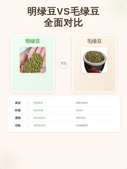精品大粒中颗粒小颗粒明绿豆毛绿豆颗粒大好煮易熟货好价低