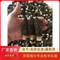 羊肚菌干货厂家批发整箱5-8剪柄黑厚肉大个食用菌煲汤便宜代发