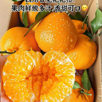 耙耙柑春见专业一件代发对接各大电商平台实力供应源头厂家