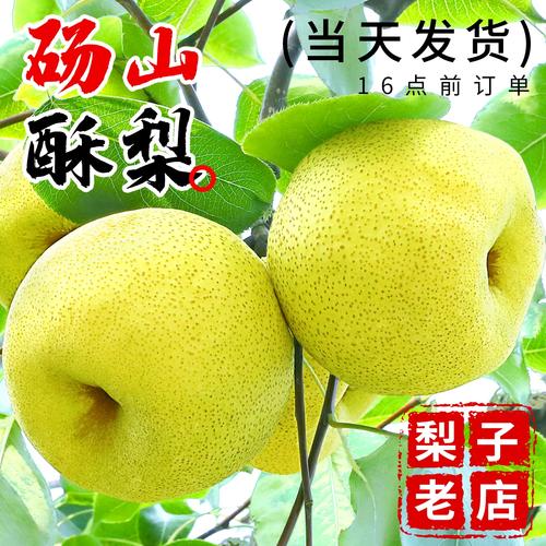 正宗砀山梨子当季水果新鲜10斤青皮青梨皇酥梨整箱应翠冠香梨雪
